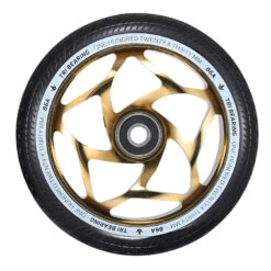 Envy shop -Envy shop W120TRI30GDBK 64089.1598296138 82869.1640365379